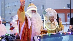 Вячеслав Гладков сообщил о старте фестиваля добрых дел «Новогодние чудеса»