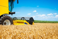Хлеборобы Ровеньского района убрали более 68% посевных площадей зерновых культур