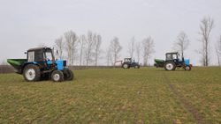 Земледельцы Ровеньского района начали весенне-полевые работы