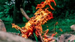 Ровеньское лесничество предупредило жителей о начале пожароопасного сезона 2020 года