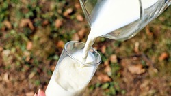 Губернатор области призвал чиновников защитить интересы продающих молоко селян
