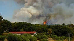 Министерство природопользования предупредило белгородцев о продлении противопожарного режима 