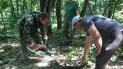 Ровенские лесники приступили к прокладке экологической тропы в урочище Широконь