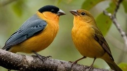 Белгородские синоптики – о погоде в Ровеньском округе