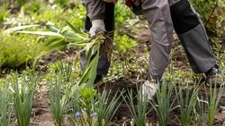 Вячеслав Гладков призвал белгородцев принять участие в масштабных экологических мероприятиях