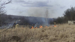 МЧС Белгородской области сообщило о ликвидации 15 пожаров за минувшие сутки