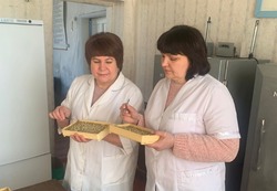 Специалисты «Россельхозцентра» проверили посевной материал хозяйств Ровеньского района