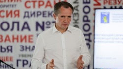 Вячеслав Гладков рассказал о результатах проверки безопасности в образовательных учреждениях