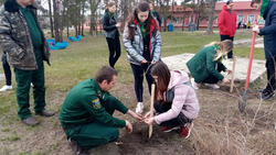 13 школ Ровеньского района поддержали международную акцию «Сад памяти»