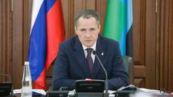 Вячеслав Гладков сообщит об экономическом развитии региона в прямом эфире 2 декабря