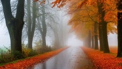 Белгородские синоптики – о погоде в Ровеньском районе