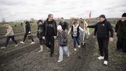 Вячеслав Гладков: белгородцы высадили 80 тысяч саженцев к 80-летию Великой Победы