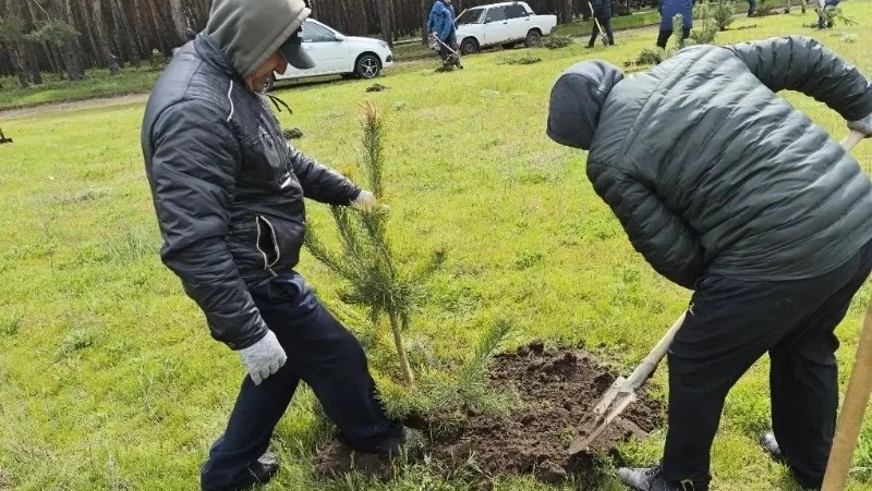 Ровенчане приняли участие во Всероссийском субботнике