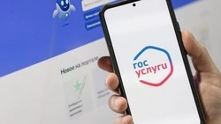 Жители Белгородской области смогут защитить себя от мошенников через «Госуслуги»