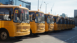 Учебные учреждения Белгородской области получили 65 новых автобусов