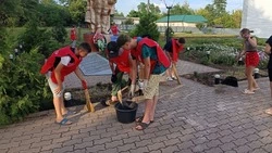 Лето – чудесная пора!