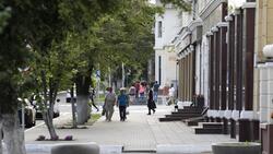 447 белгородских семей смогли преодолеть уровень бедности благодаря социальным контрактам
