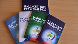 Белгородцы получили главный региональный бюджетный документ в доступной форме