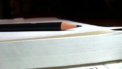 Газета «Ровеньская нива» №7 от 13 февраля 2025 года 