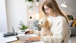 Жители Белгородской области смогут записывать питомцев к ветеринару через «Госуслуги»