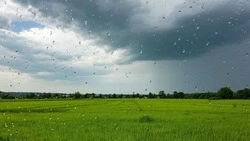 Белгородские синоптики – о погоде в Ровеньском районе