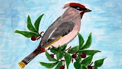 Юные ровеньские художники смогут принять участие в конкурсе «Птицы русского леса»