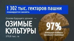Материал