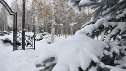 Снег и туман придут в предстоящие выходные в Белгородскую область