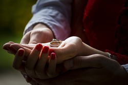 65 белгородских пар выбрали зеркальную дату для регистрации брака