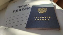 Единороссы запустили в регионах общественные обсуждения поправок в закон о занятости