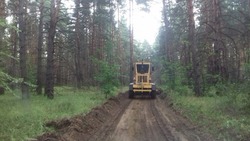 Ровеньское лесничество провело работы по реконструкции лесных дорог