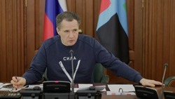 Вячеслав Гладков поручил главе Ровеньского района наладить взаимодействие с ТОСами