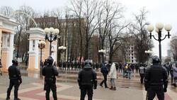 Эксперт оценил действия полицейских во время несогласованной акции в Белгороде