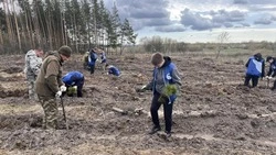 В память о погибших героях