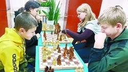 Ровеньские спортсмены продолжают радовать своими успехами земляков