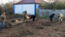 Жители села Ржевка превратили мусорку в фруктовый сад