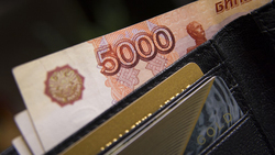 Средний доход жителя области превысил 30 тысяч рублей в 2018 году