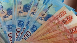 Белгородские власти намерены выдать деньги по социальным контрактам до 1 июля