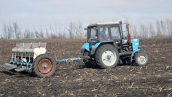 Сельхозпроизводители района получили почти 50 млн рублей субсидий в 2018 году
