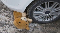 Вячеслав Гладков отметил высокую смертность на дорогах в Белгородской области 