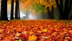 Белгородские синоптики – о погоде в Ровеньском районе