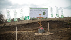 Жители региона смогут поддержать международную акцию «Сад памяти» в период пандемии