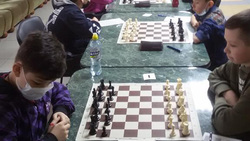 Ровеньские шахматисты вошли в число призёров областных соревнований «Белая ладья»