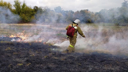 28 ландшафтных пожаров ликвидировано в Белгородской области за минувшие сутки