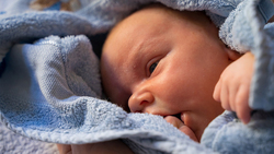 Ровеньский ЗАГС зарегистрировал девять новорождённых в ноябре