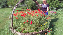 Ровенчанка Валентина Подобная создала цветочное царство на территории возле дома