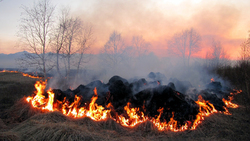 Госинспектор по пожарному надзору предупредил ровенчан об опасности сжигания сухой травы