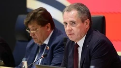 Вячеслав Гладков: в 2025 году белгородцы заключили около 3 тыс. соцконтрактов