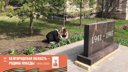 Юные ровенчане присоединились к акции «Алая гвоздика»