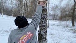Ровеньские волонтёры изготовили кормушки для зимующих на территории района птиц